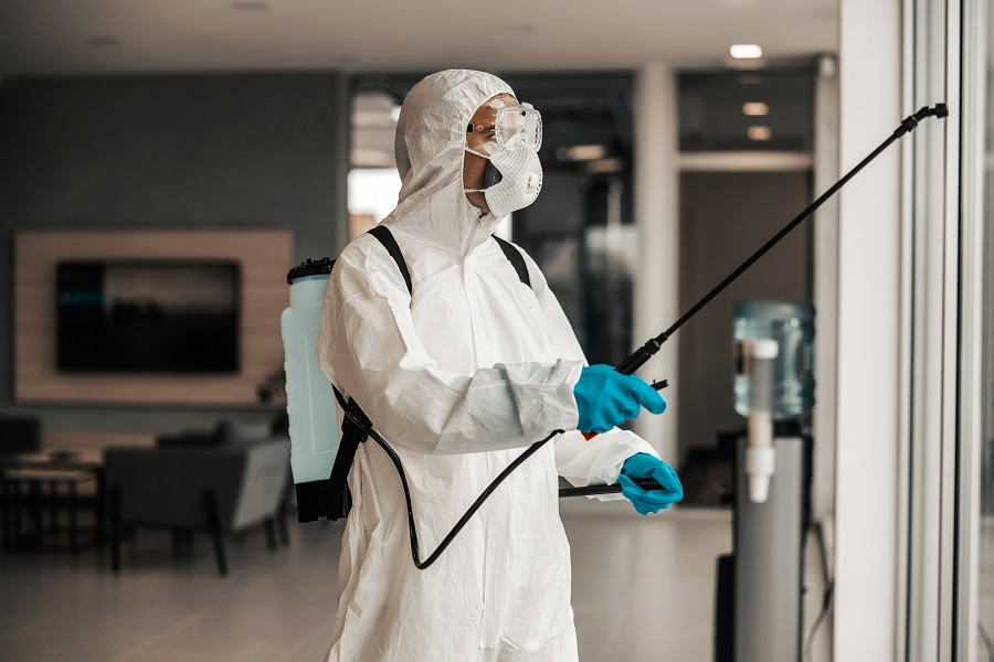 Real Experiences From Hawx Pest Control Reviews in Your Area